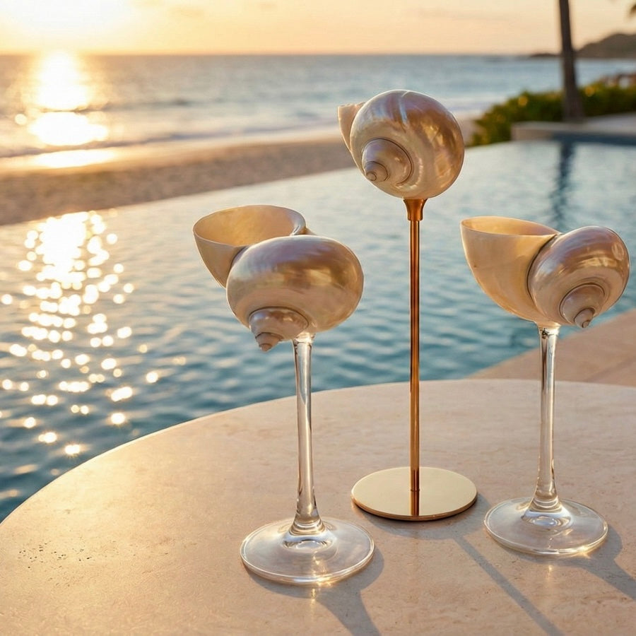 Soy Wax Scented Candle in Sea Shell Glass with two handcrafted seashell glasses dubai
