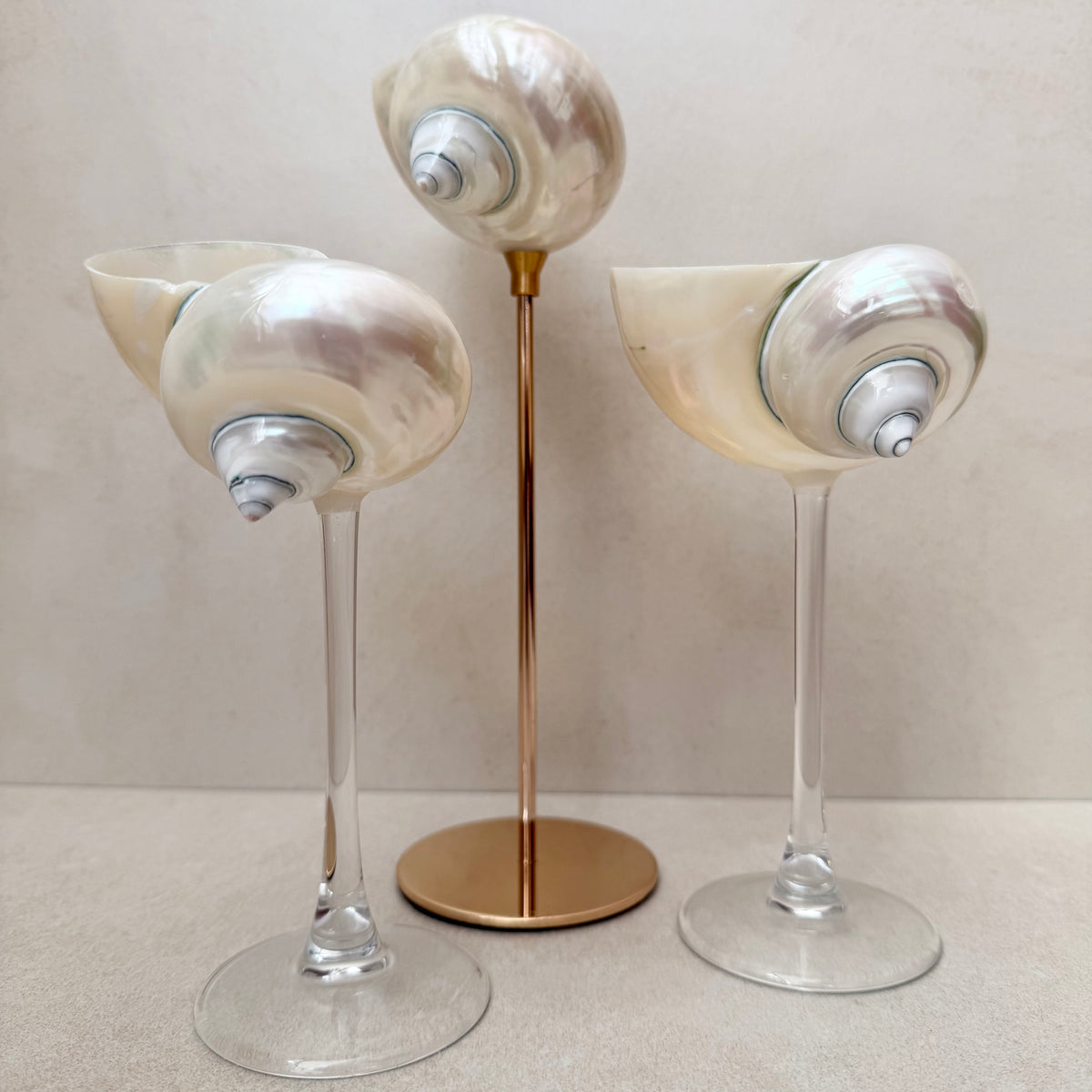 Soy Wax Scented Candle in Sea Shell Glass with two handcrafted seashell glasses